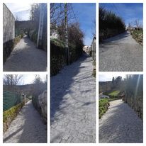 Rua da Carreira Velha